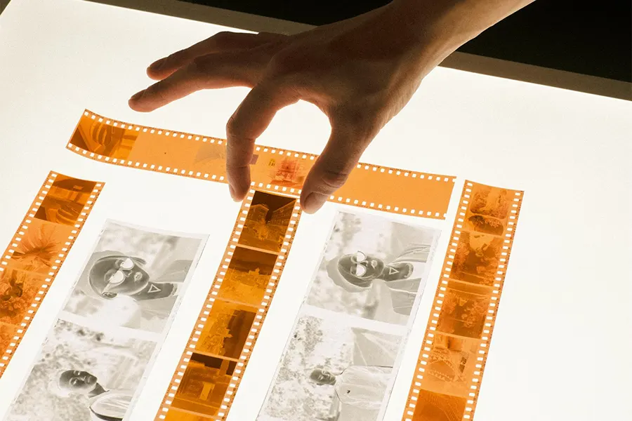 BDM ArcScan - Slide and Negative Scanning